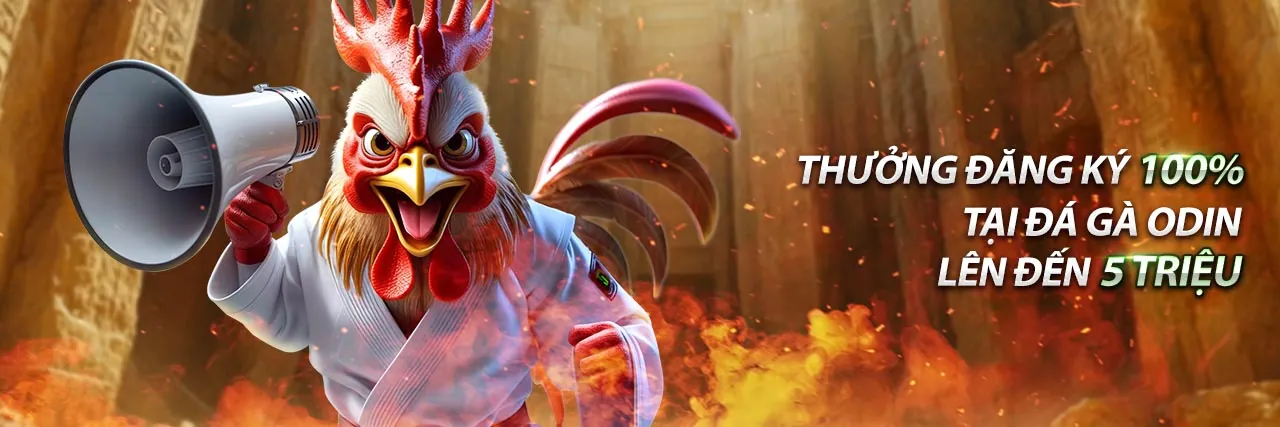 Tiền thưởng chào mừng thành viên mới khi chơi đá gà tại Lucky88 Best